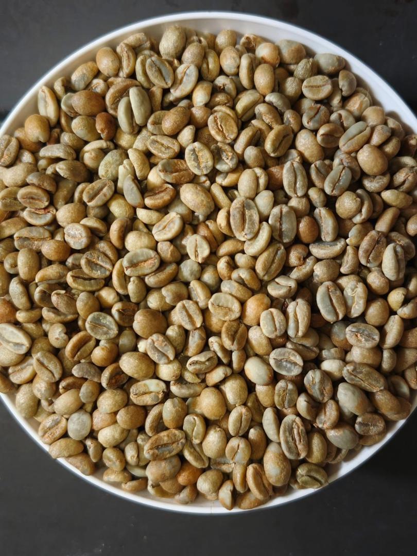 Raw green coffee beans